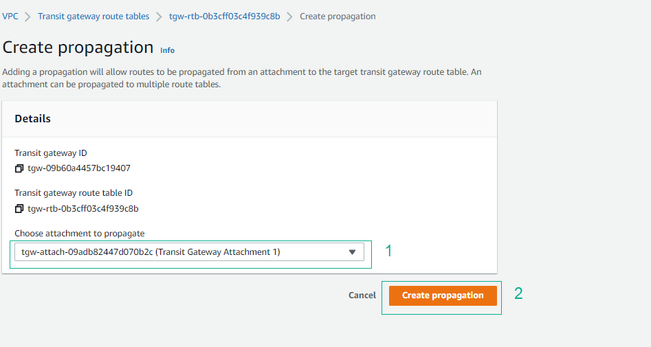 Transit Gateway Attachments