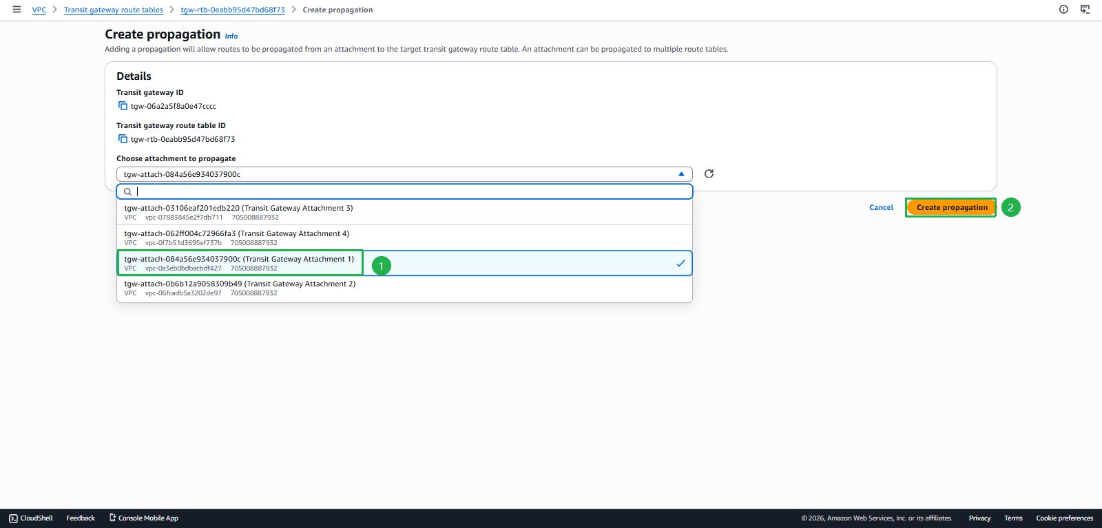Add VPC Propagation