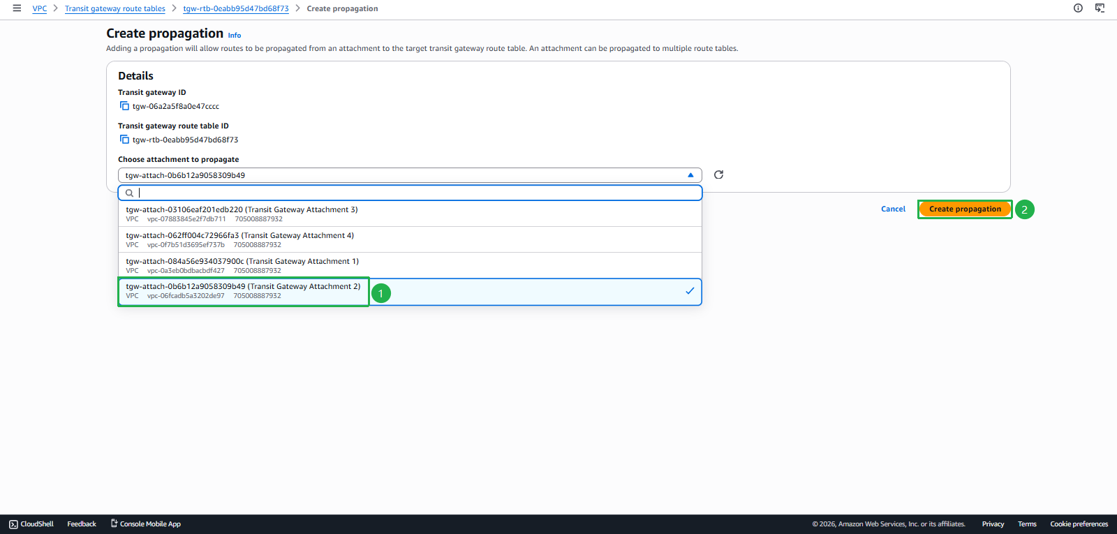 Add VPC Propagation