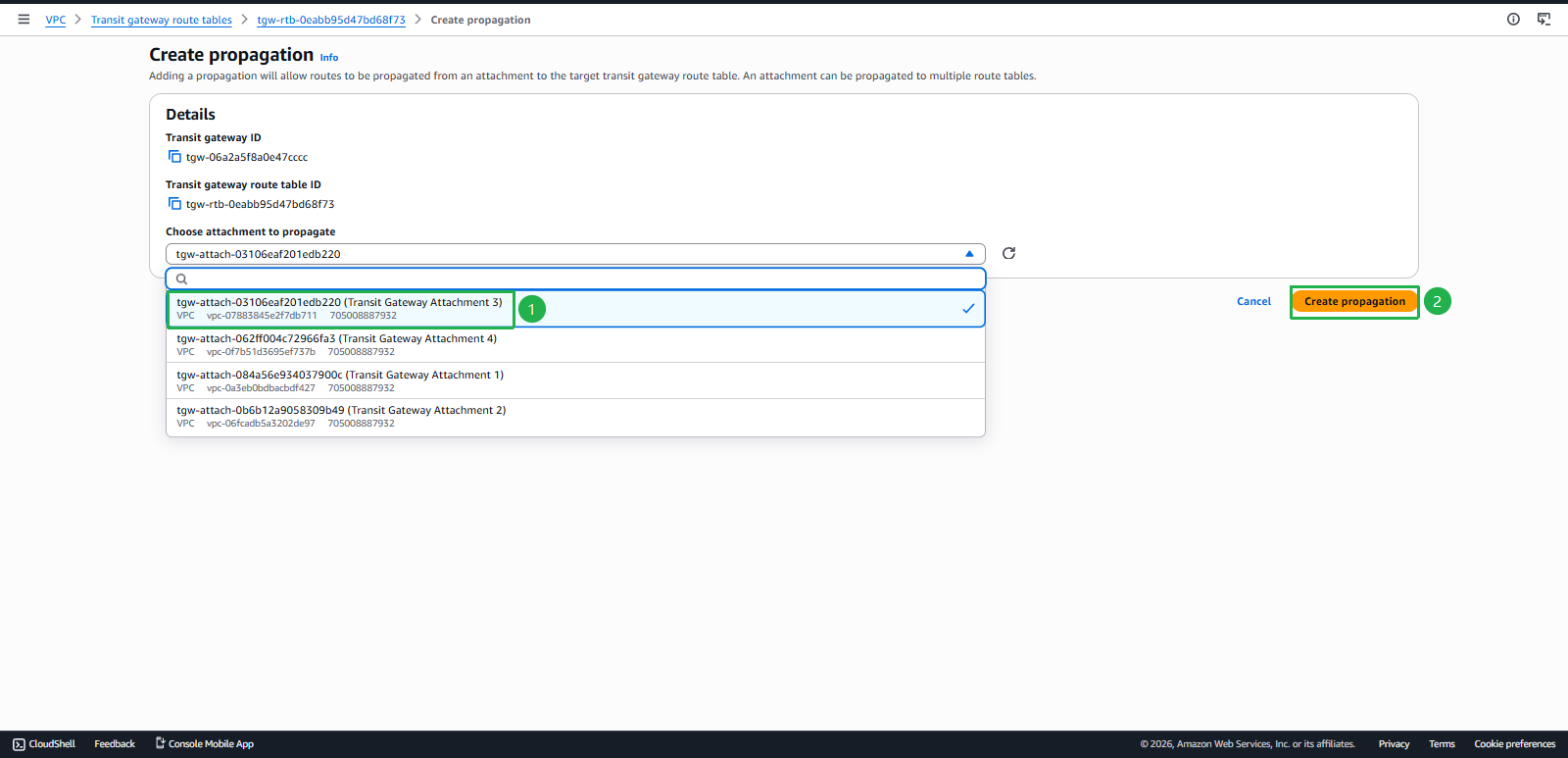 Add VPC Propagation