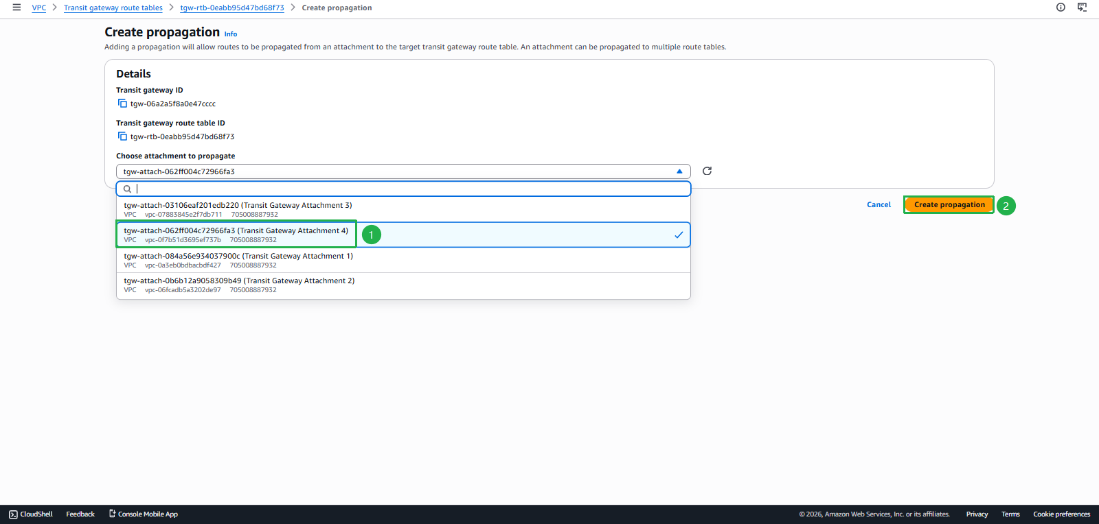 Add VPC Propagation